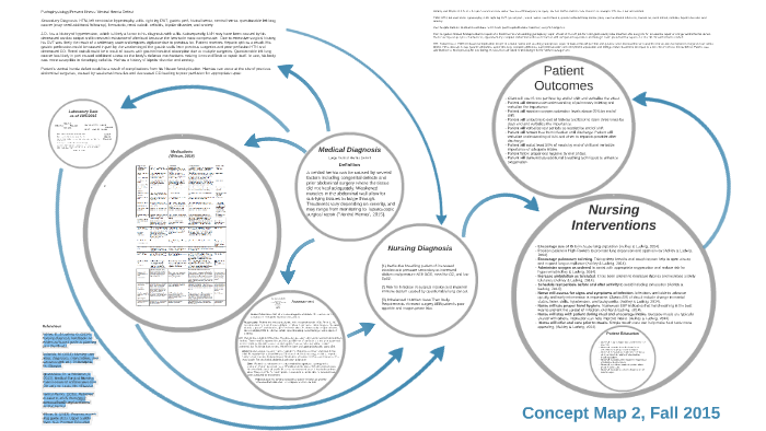 Concept Map 2, Fall 2015 by Elizabeth Boyce on Prezi
