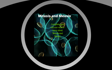 Mitosis and Meosis by Natalie M.