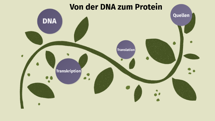 Von Der Dna Zum Protein