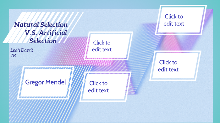 Natural selection v.s artificial selection by Leah dawit on Prezi