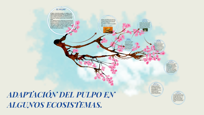 Pulpo y adaptación