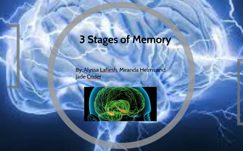Stages of Memory by Jade Brianna on Prezi