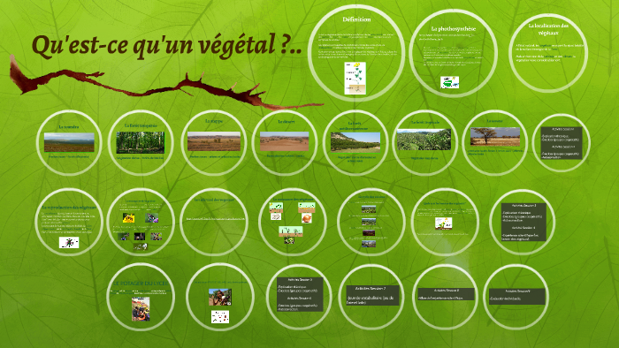 Qu'est-ce qu'un végétal ?.. by on Prezi