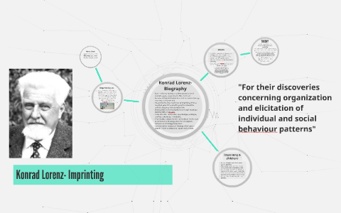 what was konrad lorenz experiment