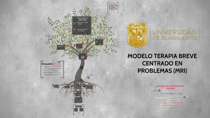 MODELO TERAPIA BREVE MRI by Gabriela Subias Vargas