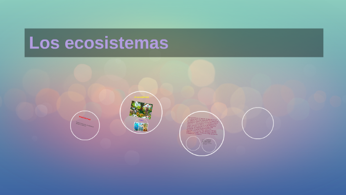 Los ecosistemas by Luna Sofia Garcia on Prezi