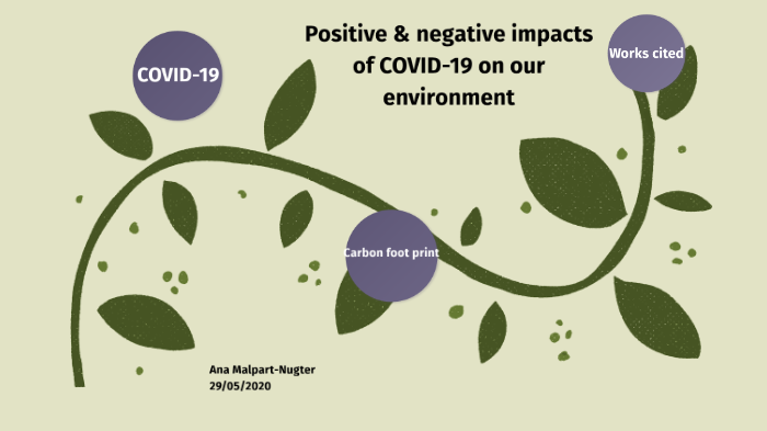 positive-and-negative-impacts-of-the-covid-19-on-our-environment-by-ana