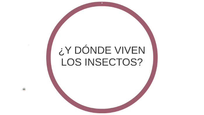 ¿Y DÓNDE VIVEN LOS INSECTOS? by soledad fernandez on Prezi
