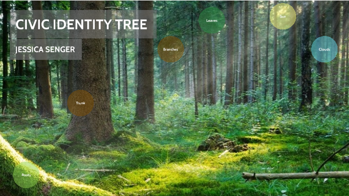 Civic Identity Tree by Jessica S on Prezi