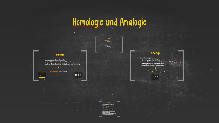 Homologie Und Analogie By Samira Schild On Prezi