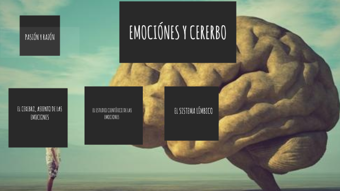 EMOCIONES Y CEREBRO By Valentina Ospina