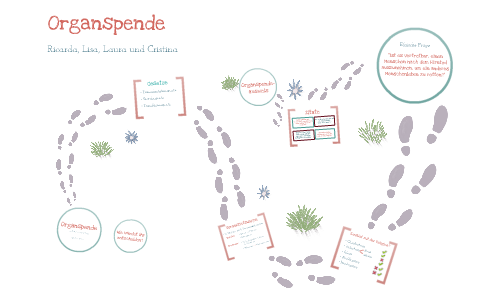 Organspende Werte Und Normen By Lisa Plogmann