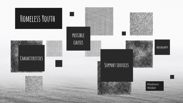 Homeless Youth by Madison Waller on Prezi
