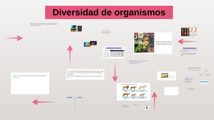 IB_Clasificación de la Biodiversidad by Patricia María Eugenia Frias on ...