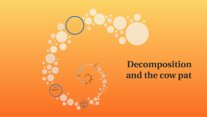 Decomposition: the cow pat by Angala Rajasegaran on Prezi