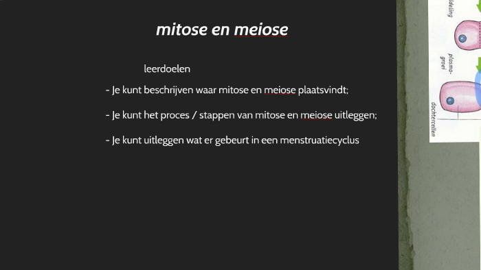 1. mitose / meiose / voortplantingsstelsel vrouw by Amanda Selling