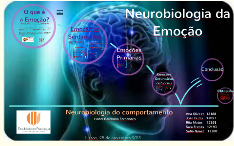 Neurobiologia da Emoção by Ana Oliveira on Prezi