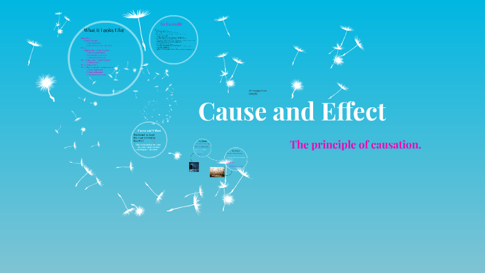 cause and effect essay prezi