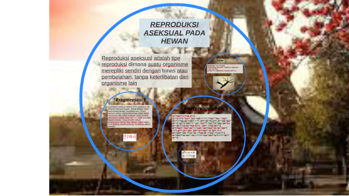 Reproduksi Pada Hewan By Fara Dylla On Prezi