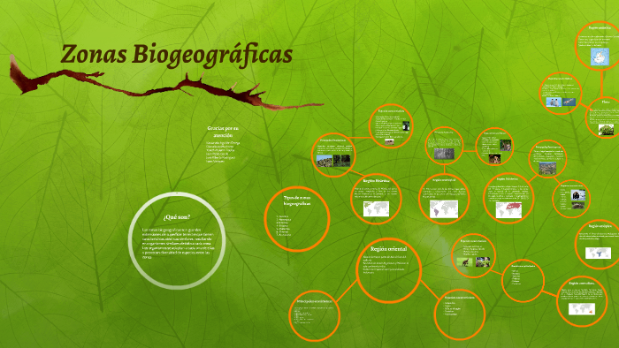 Zonas Biogeográficas by Kassandra Aguillon on Prezi