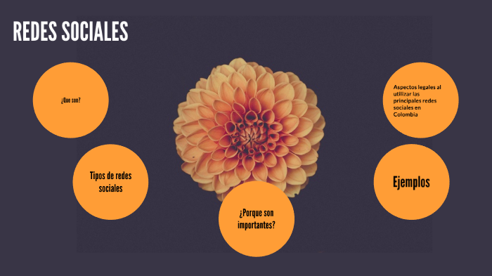 Las redes sociales by Andrea Florez on Prezi