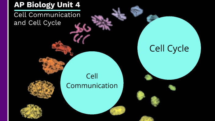 Ap Bio Unit 4 Communication And Cell Cycle By Christopher Himmelheber