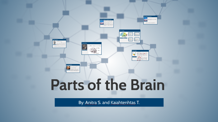 Parts of the Brain by emma thompson on Prezi