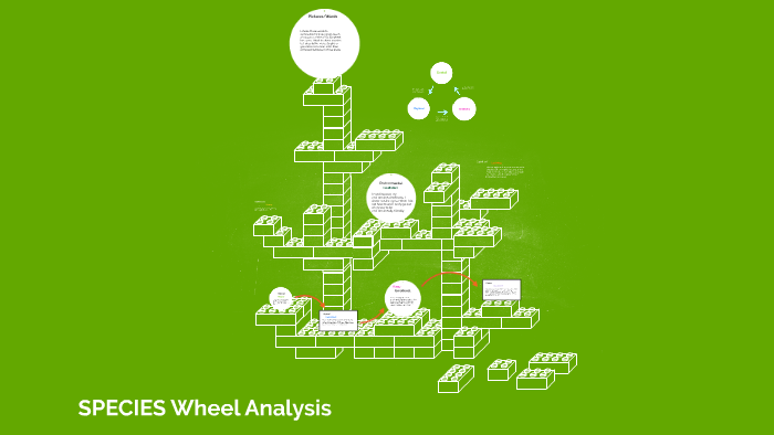 Pattern Wheel Analysis Species Wheel Analysis by on Prezi