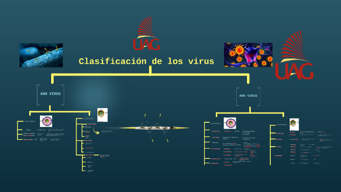 Clasificación de los virus by fernando vazquez on Prezi