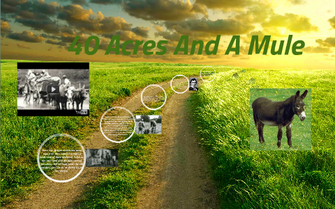 40 Acres And A Mule by Yeranuhi Israyelyan on Prezi