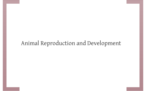 Animal Reproduction / Development by amelia reyna on Prezi