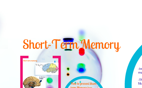 Short Term Memory and Long Term Memory by Madison Orndorff