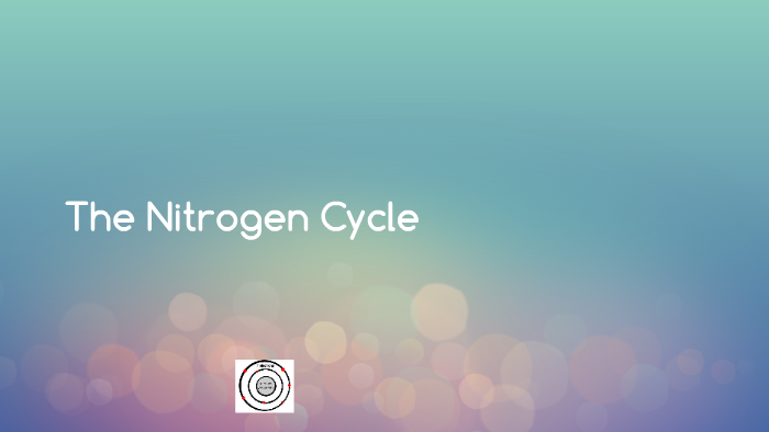 The Nitrogen Cycle by maria paz espinel on Prezi