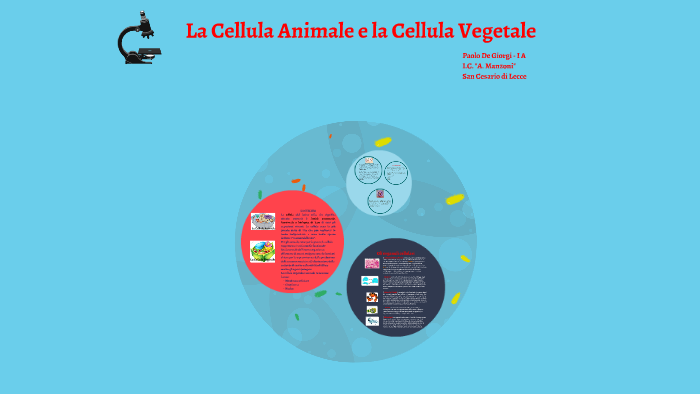 La cellula animale e la cellula vegetale by tommaso de giorgi on Prezi