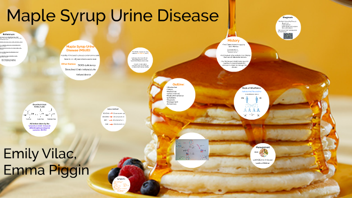 maple syrup urine disease symptoms in newborn