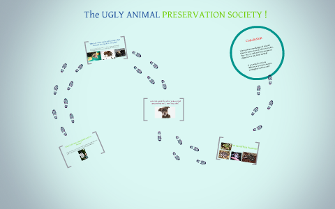 The UGLY ANIMAL PRESERVATION SOCIETY by Camilla Eljuri on Prezi