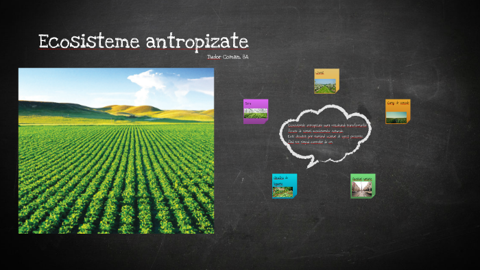 Ecosisteme Antropizate By Tudor Coman On Prezi