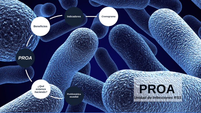 PROA by Mónica Alfaro on Prezi