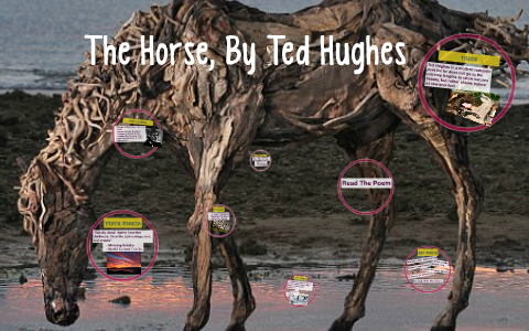 The Horse By Ted Hughe Rebecca Hammon Paraphrasing Of Hughes Summary 