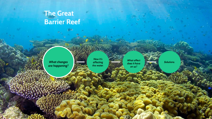 How the Great Barrier Reef is Being affected by Climate Change by ...