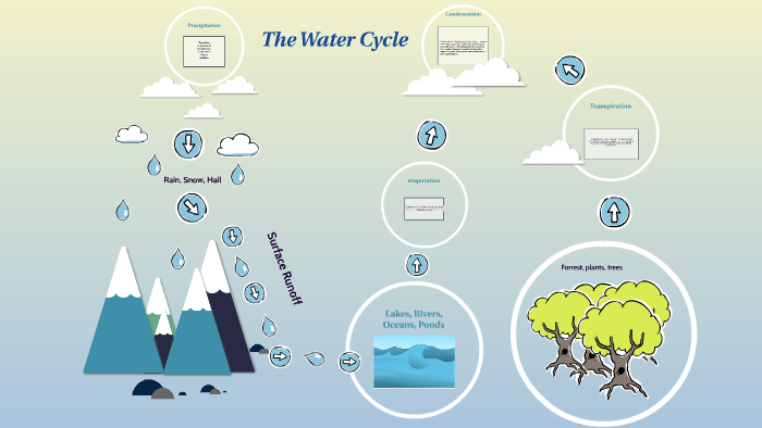 The Water Cycle by Kieran Ross on Prezi