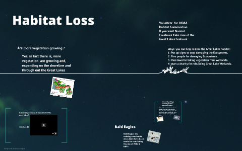 Habitat Loss in the Great LAkes by Joel Rivera on Prezi