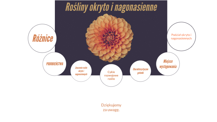 Rośliny okrto i nago nasienne by Jan Kowalski on Prezi