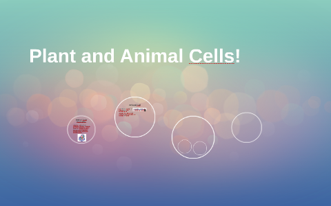 Plant and Animal Cells by Mikayla Monroe on Prezi