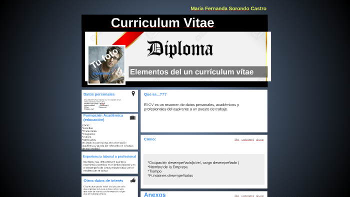 Elementos del Curriculum Vitae by