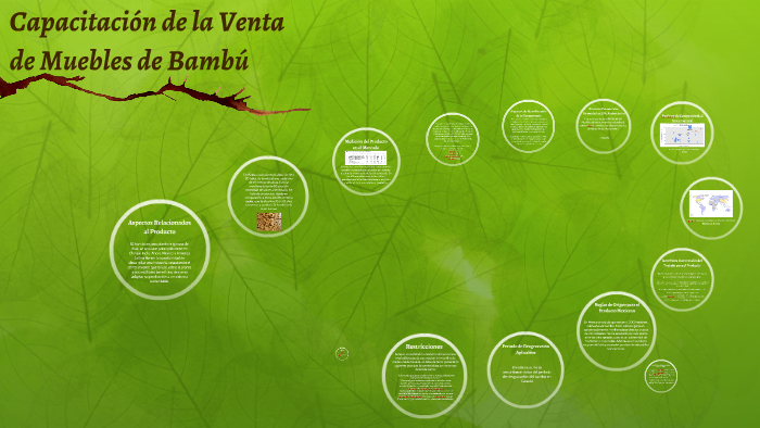 Capacitación de la Venta de Muebles de Bambú by Denisse Solorio