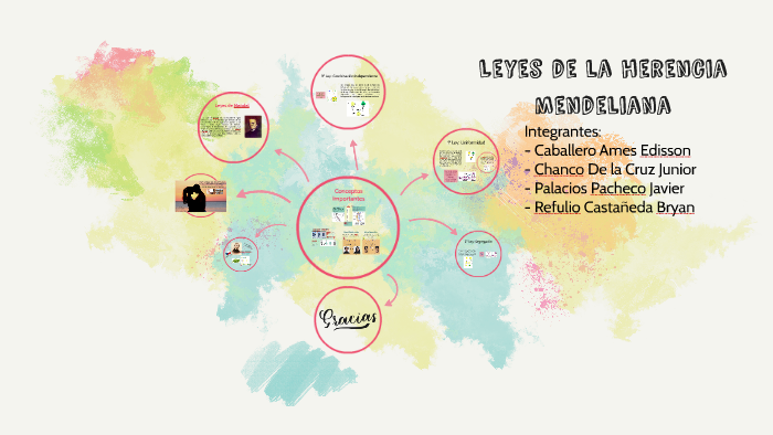 HERENCIA MENDELIANA - EXPOSICION BIOLOGIA By Junior Chanco On Prezi