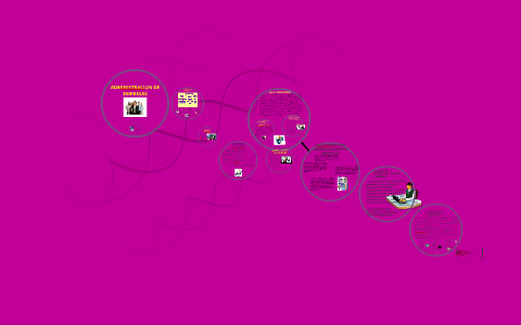 ADMINISTRACION DE EMPRESAS by Lizeth Triana on Prezi