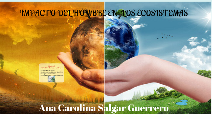 Impacto Del Hombre En Los Ecosistemas By Ana Salgar On Prezi 6438