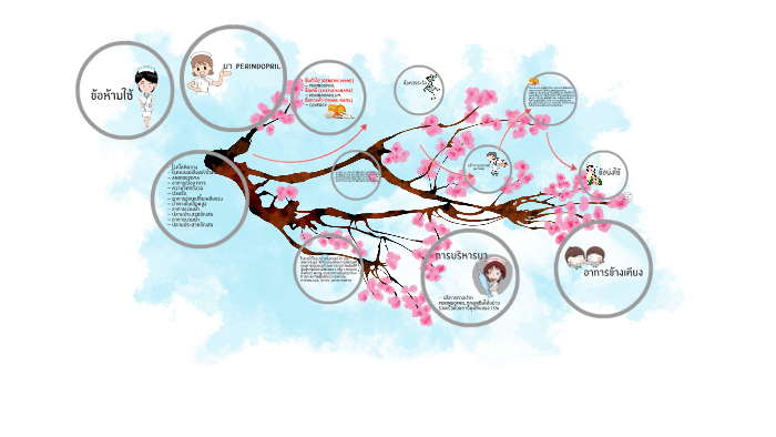 ยา perindopril; amlodipine by Kanjanaporn Charoensuksomboon on Prezi